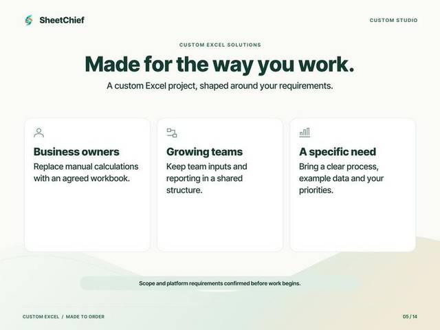 Custom Excel — Who it is for