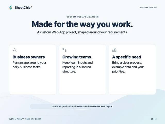 Custom Web App — Who it is for